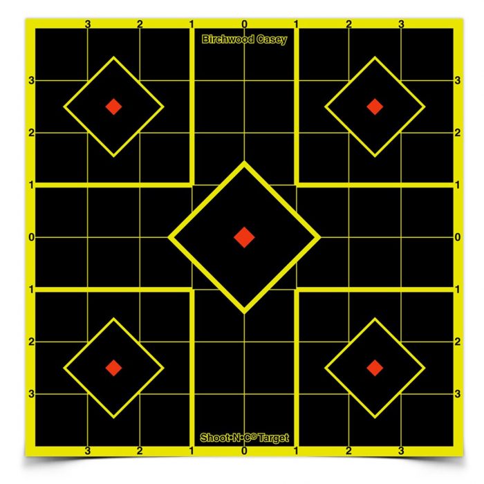 BIRCHWOOD CASEY 8 INCH, 6 TARGETS
