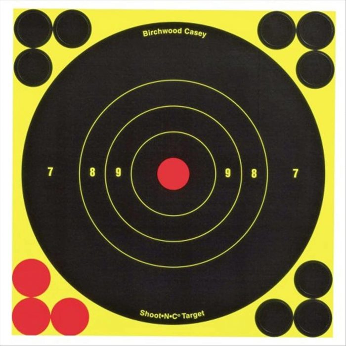 BIRCHWOOD CASEY 6 INCH, 60 TARGETS