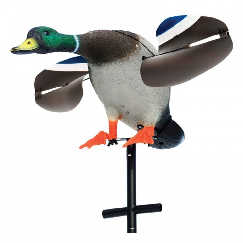 EDGE DECOY LUCKY DUCK JUNIOR