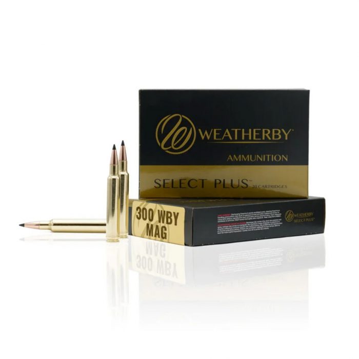 WEATHERBY 300 WBY 180 GR TTSX